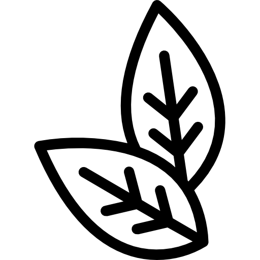 сигарный лист